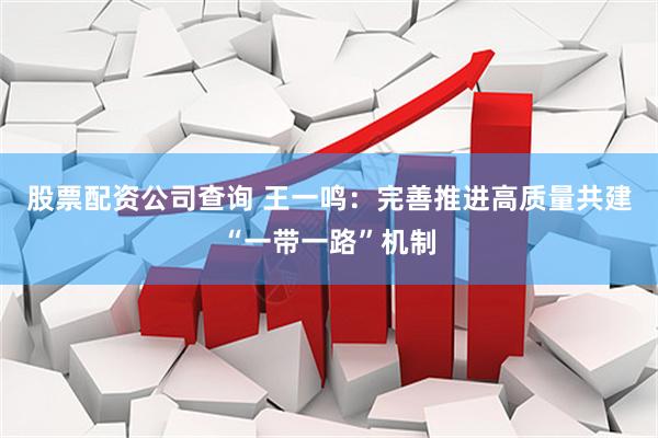 股票配资公司查询 王一鸣：完善推进高质量共建“一带一路”机制