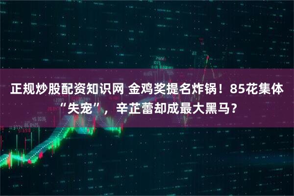 正规炒股配资知识网 金鸡奖提名炸锅！85花集体“失宠”，辛芷蕾却成最大黑马？
